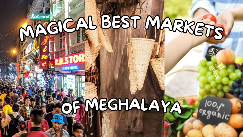 Exploring the Vibrant Markets of Meghalaya: A Shopper’s Paradise