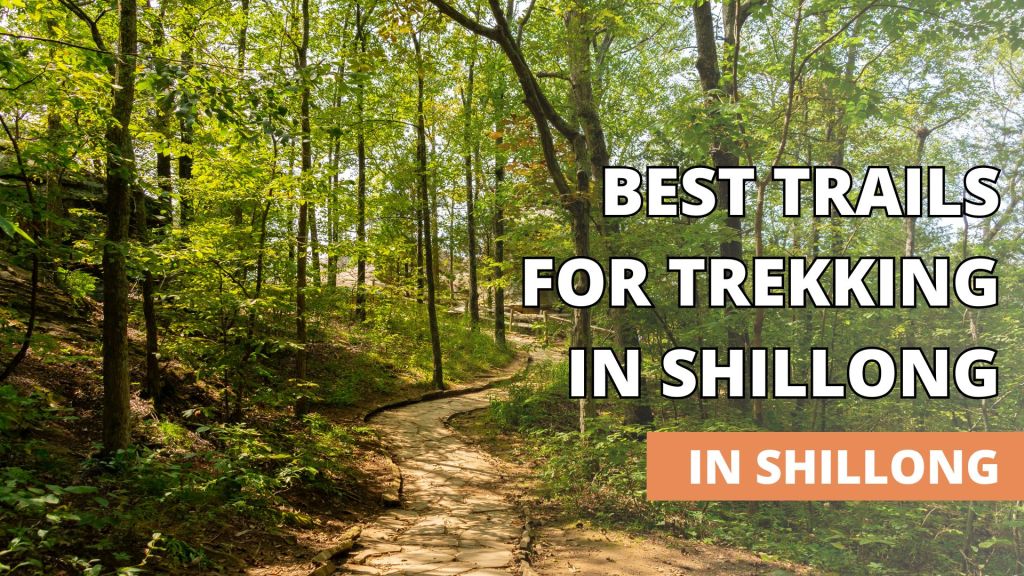 Explore the Best Trails for Trekking in Shillong
